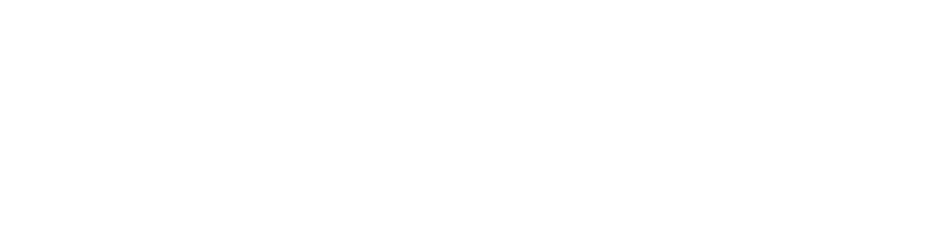Danmar Software Solutions Wordmark